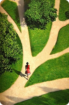 free_choice